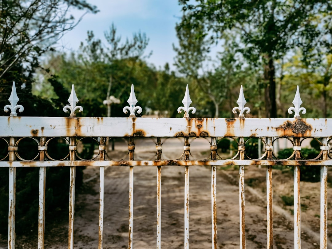 Powder-coated steel gate finished against rust in Pearland, TX
